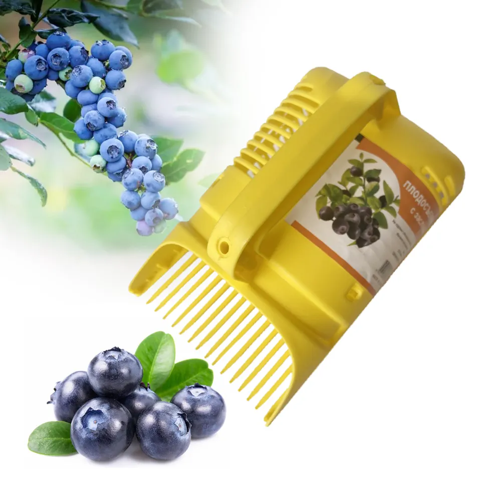 Culegator de fructe de padure